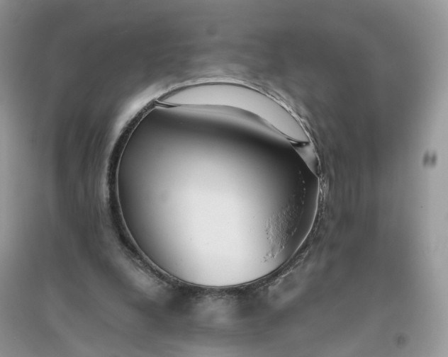 X0000096140248200802011217