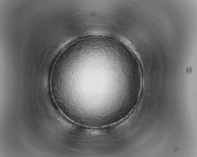 X0000096140249200802011217