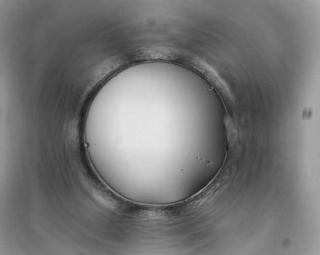 X0000096140250200802011217