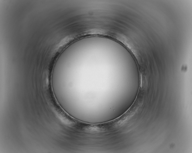 X0000096140253200802011217