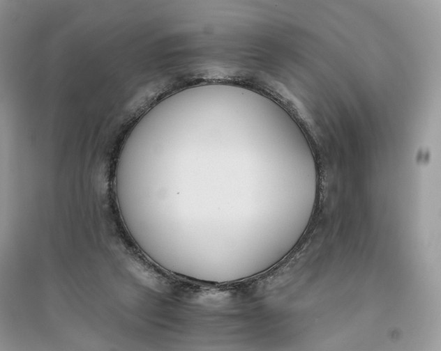 X0000096140257200802011217
