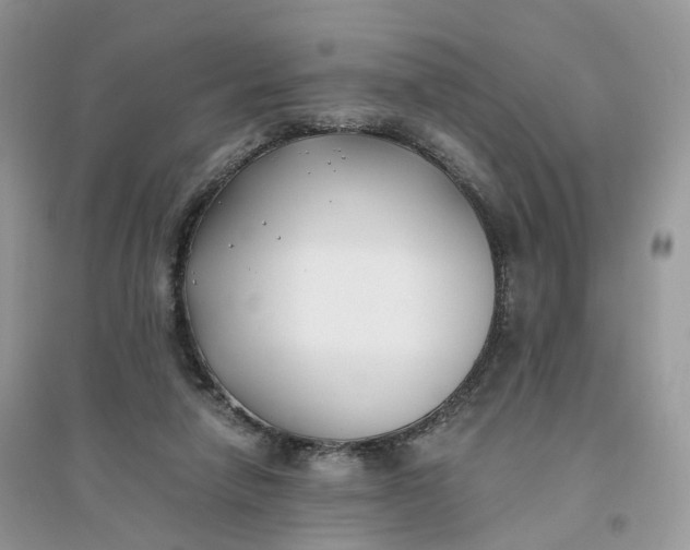 X0000096140258200802011217