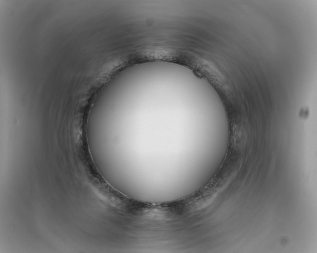X0000096140259200802011217
