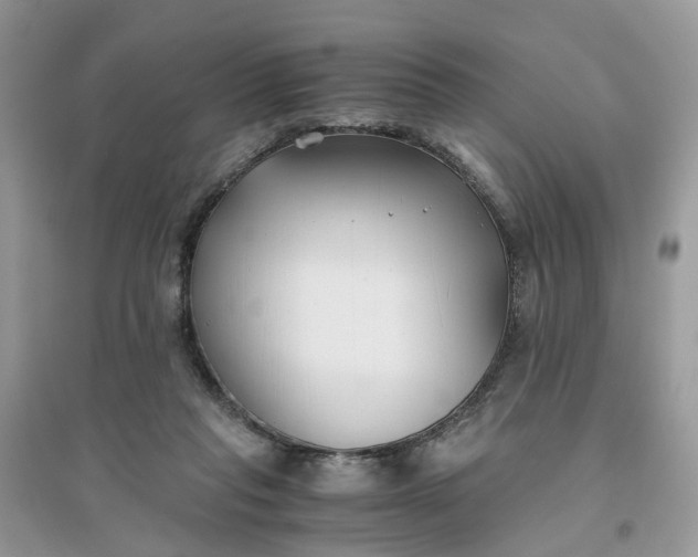 X0000096140261200802011217