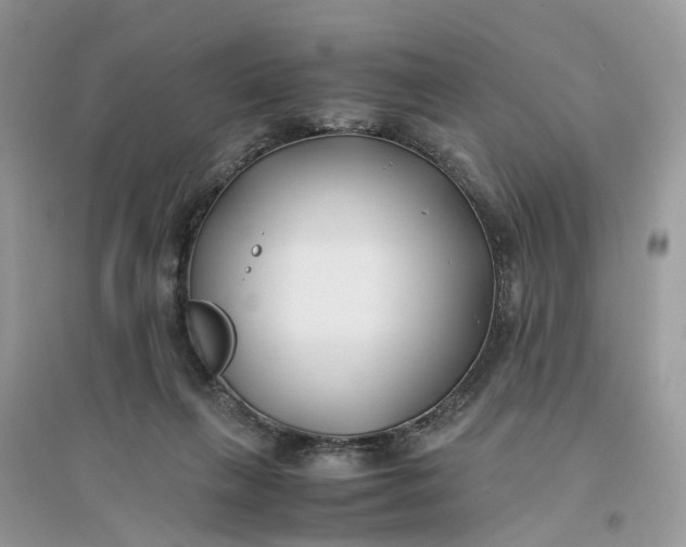 X0000096140263200802011217