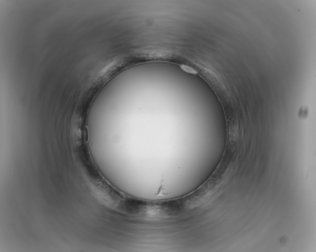 X0000096140264200802011217