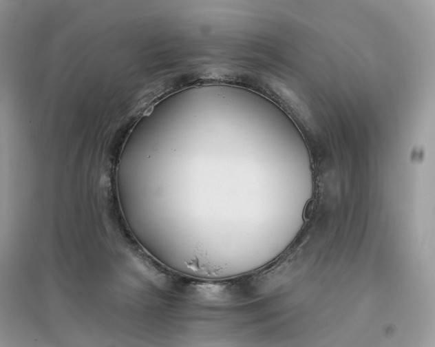 X0000096140265200802011217