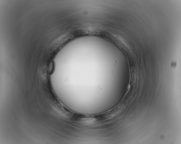 X0000096140266200802011217