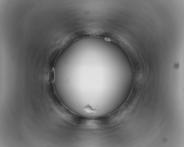 X0000096140268200802011217