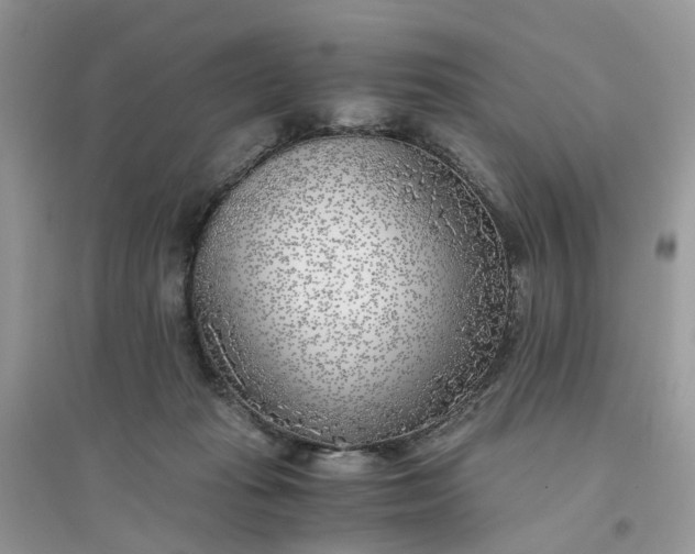 X0000096140269200802011217