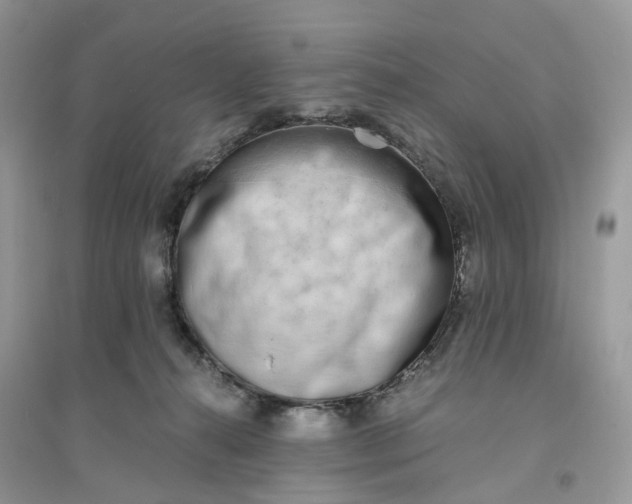 X0000096140272200802011217