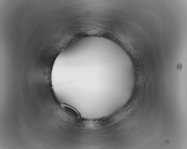 X0000096140273200802011217