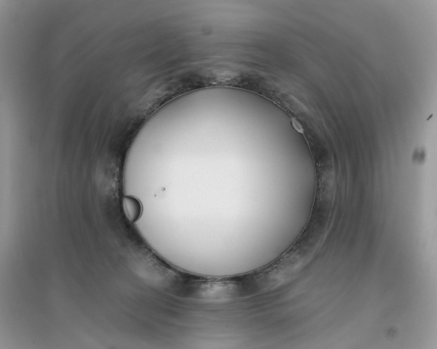 X0000096140274200802011217
