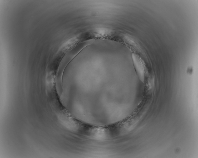 X0000096140276200802011217