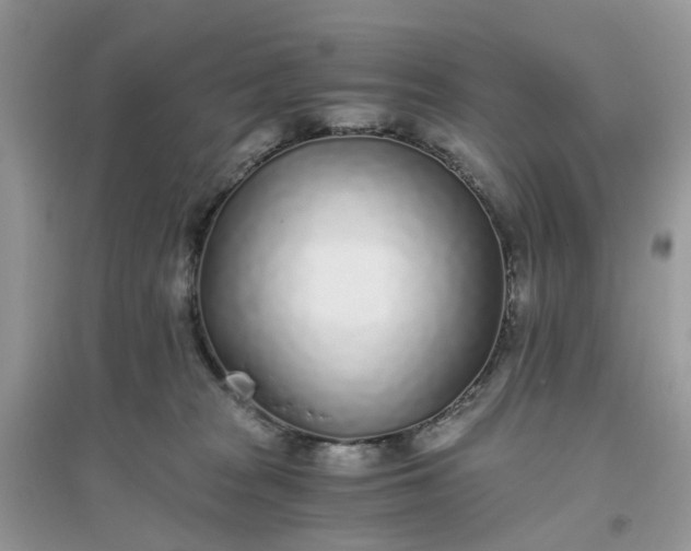 X0000096140277200802011217