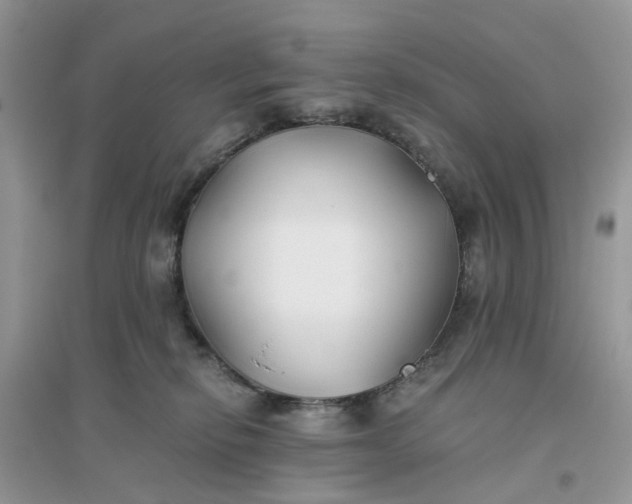 X0000096140278200802011217