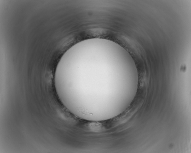 X0000096140279200802011217