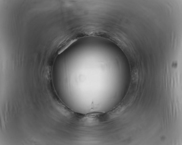 X0000096140280200802011217