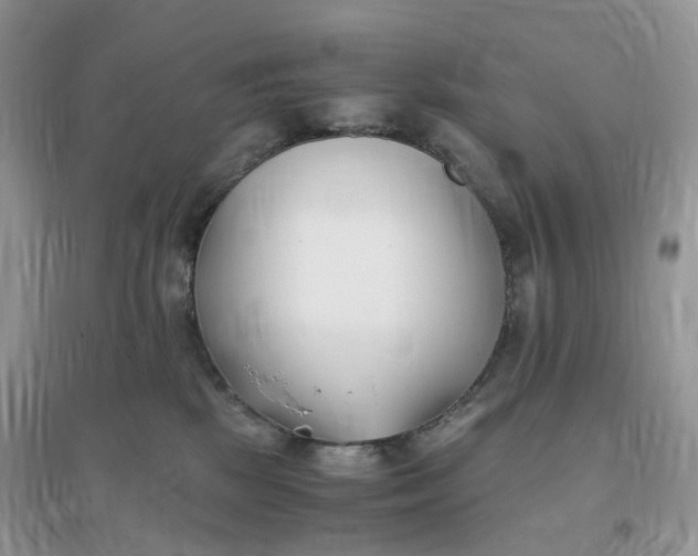 X0000096140281200802011217