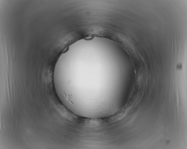 X0000096140282200802011217