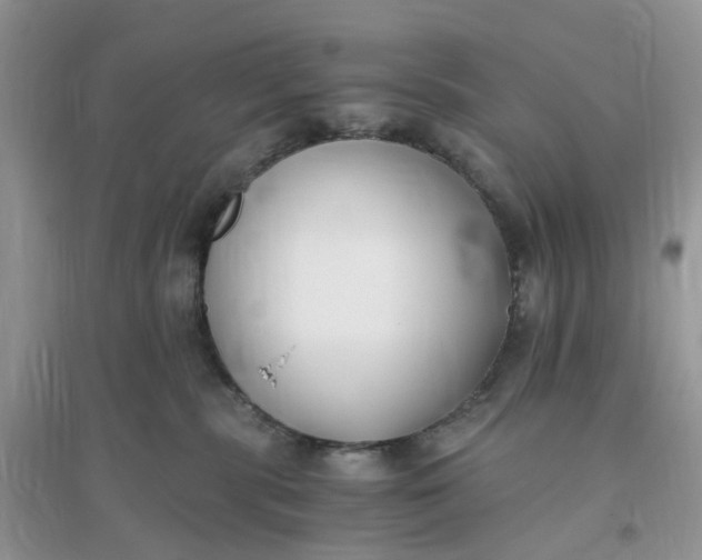 X0000096140283200802011217