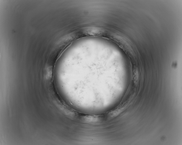 X0000096140284200802011217