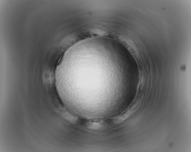 X0000096140285200802011217
