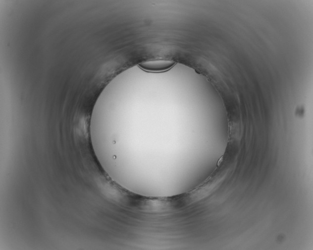 X0000096140286200802011217