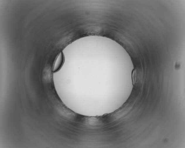 X0000096140287200802011217