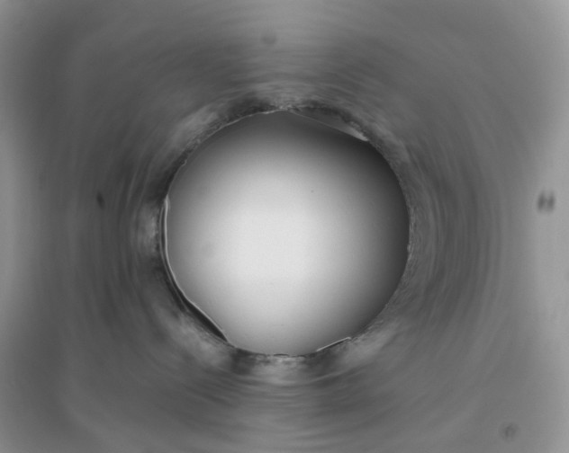 X0000096140288200802011217