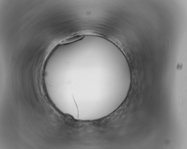 X0000096140289200802011217