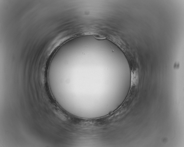 X0000096140291200802011217