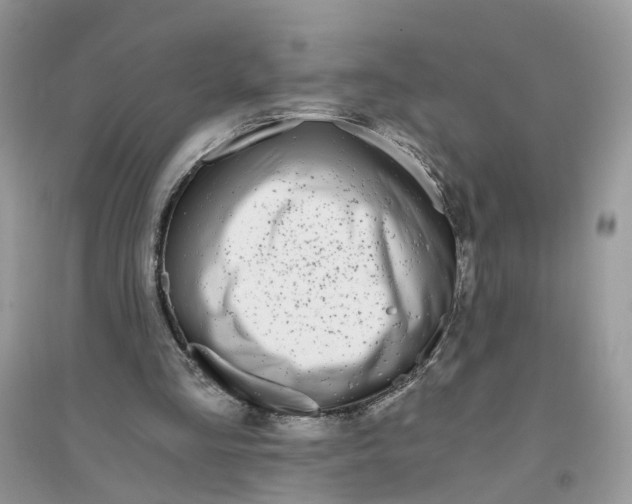 X0000096140293200802011217