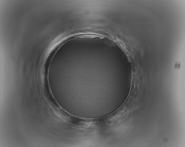 X0000096140295200802011217