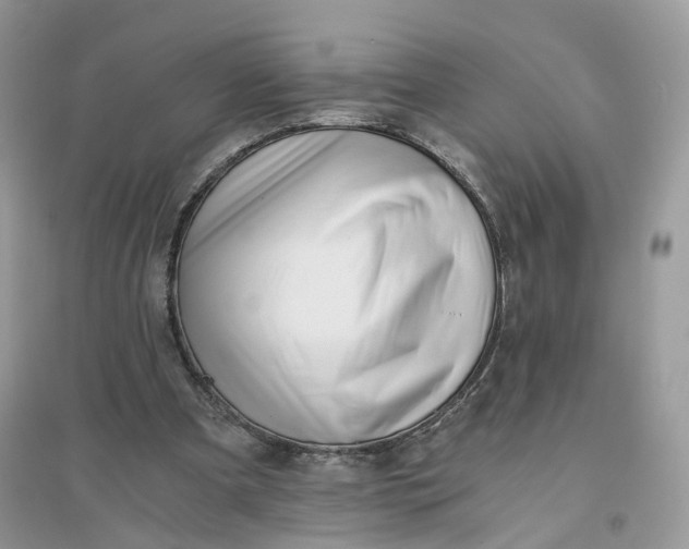 X0000096140297200802011217