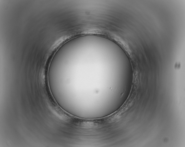 X0000096140298200802011217