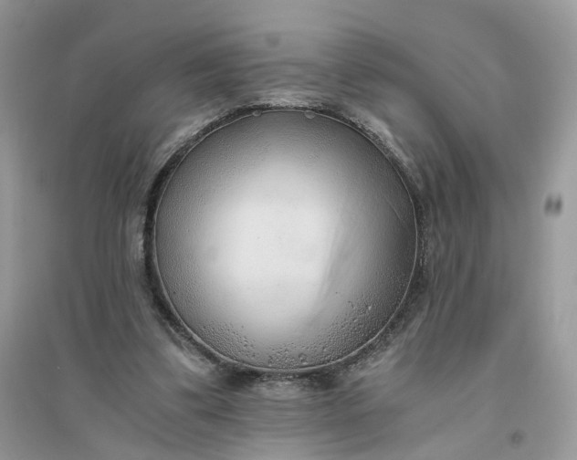 X0000096140299200802011217