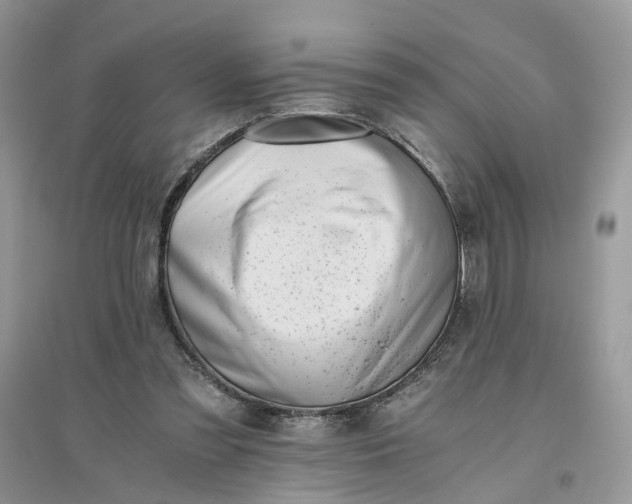 X0000096140301200802011216