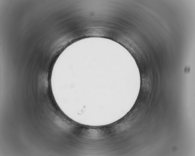 X0000096140302200802011216