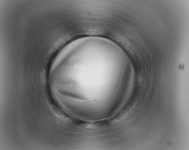 X0000096140303200802011216