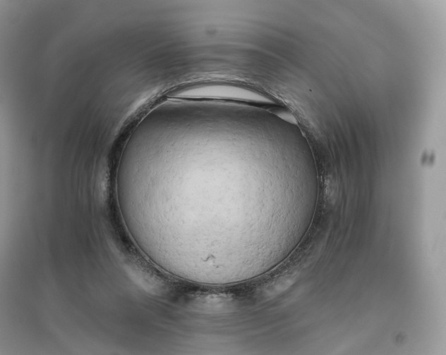 X0000096140304200802011216