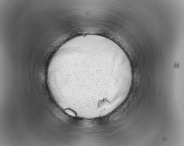X0000096140305200802011216