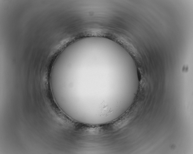 X0000096140306200802011216