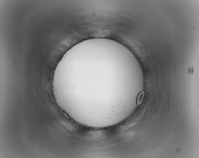 X0000096140307200802011216