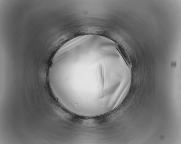 X0000096140309200802011216