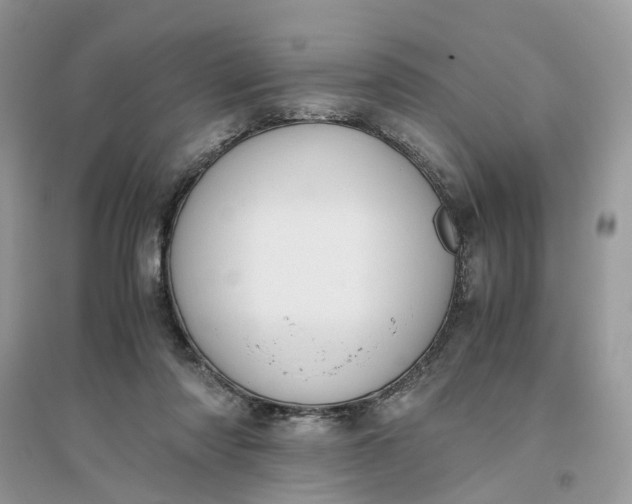 X0000096140310200802011216