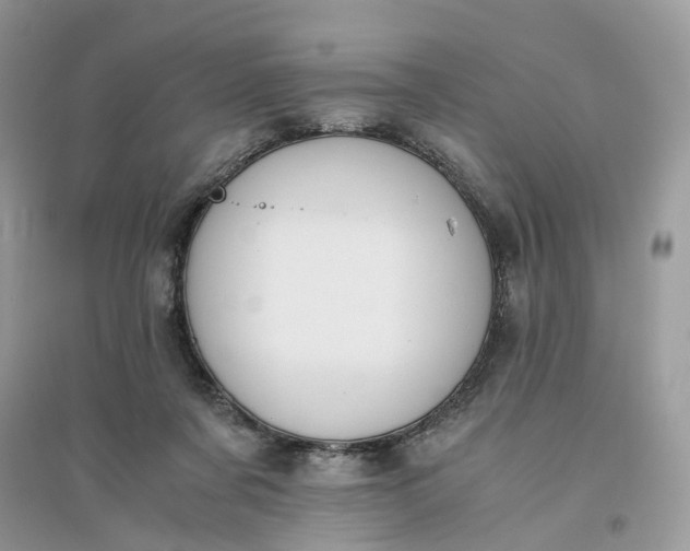 X0000096140311200802011216