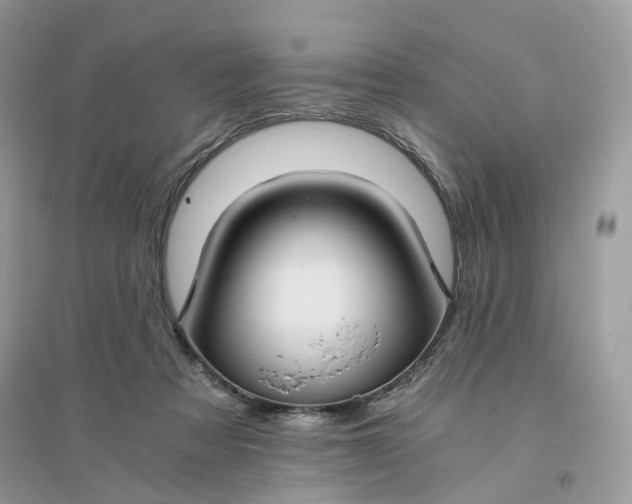 X0000096140313200802011216