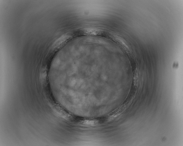 X0000096140314200802011216