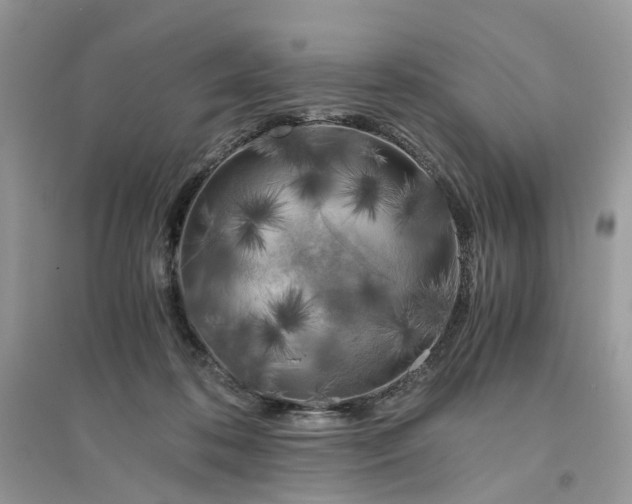 X0000096140316200802011216